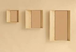 Vaarnii 007 Alter Mirror