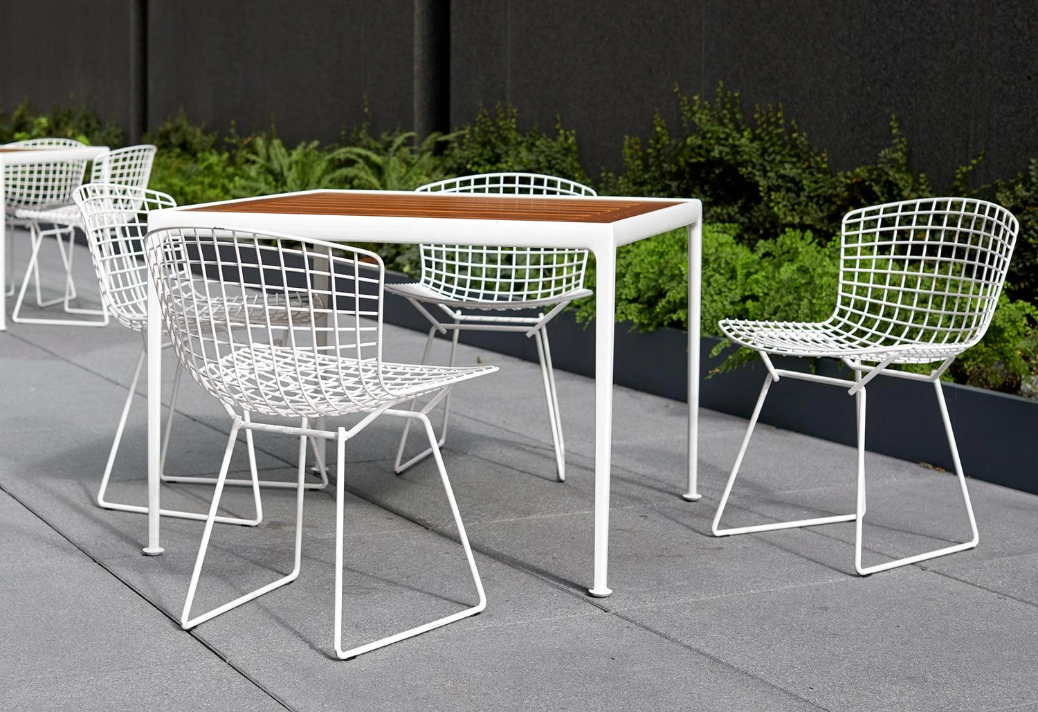 Knoll Bertoia Outdoor Chair, 1952 - Image 5